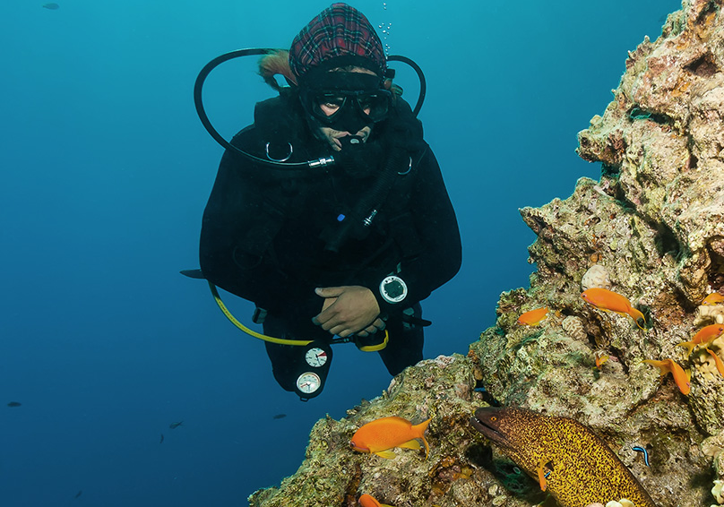The best dive watches under $1000 of 2022